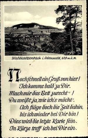 Ansichtskarte / Postkarte Waldkatzenbach Waldbrunn Odenwald, Panorama, Gedicht
