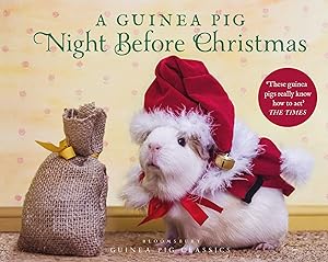 Image du vendeur pour A Guinea Pig Night Before Christmas mis en vente par moluna