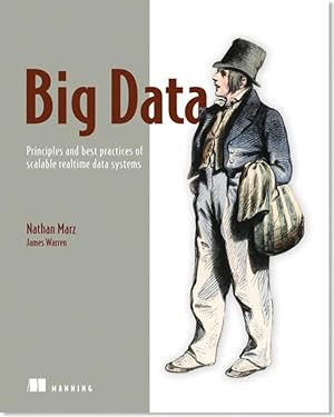 Seller image for Big Data:Principles and best practices of scalable realtime data systems for sale by moluna