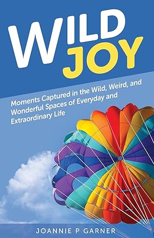 Seller image for Wild Joy: Moments Capture in the Wild, Weird, and Wonderful Spaces of Everyday and Extraordinary Life for sale by moluna