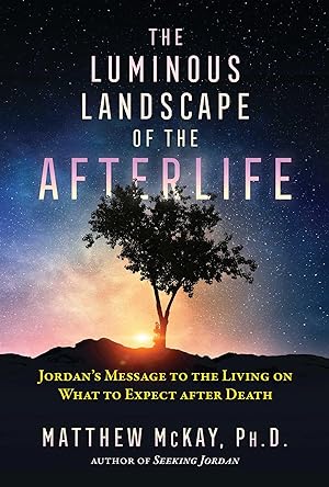 Bild des Verkufers fr The Luminous Landscape of the Afterlife: Jordan\ s Message to the Living on What to Expect After Death zum Verkauf von moluna