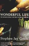 Seller image for Wonderful Life for sale by moluna