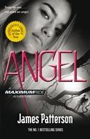 Seller image for Angel: A Maximum Ride Novel for sale by moluna