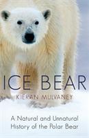 Seller image for Mulvaney, K: Ice Bear for sale by moluna