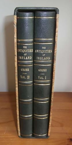 Seller image for The Antiquities of Ireland for sale by Kelleher Rare Books