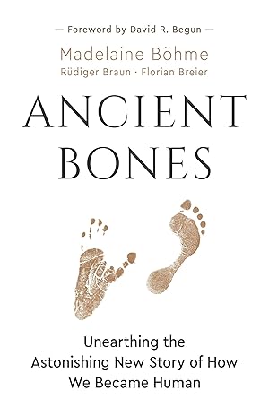 Bild des Verkufers fr Ancient Bones: Unearthing the Astonising New Story of How We Became Human zum Verkauf von moluna