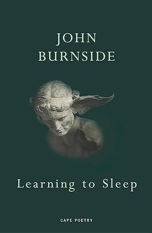 Seller image for Learning to Sleep for sale by moluna