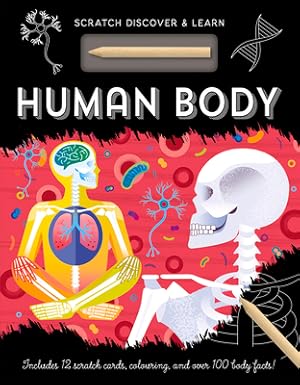 Bild des Verkufers fr Human Body (Hardback or Cased Book) zum Verkauf von BargainBookStores