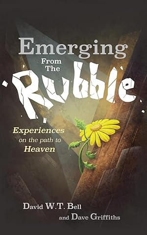 Seller image for Emerging from the Rubble: The Experiences of a Community on the Path to Heaven for sale by moluna