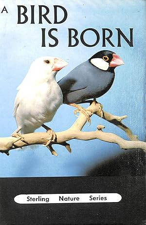 Imagen del vendedor de A Bird is Born a la venta por M Godding Books Ltd