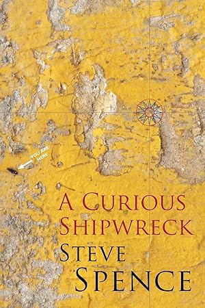 Seller image for A Curious Shipwreck for sale by moluna