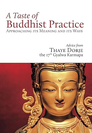 Bild des Verkufers fr A Taste of Buddhist Practice: Approaching Its Meaning and Ways zum Verkauf von moluna