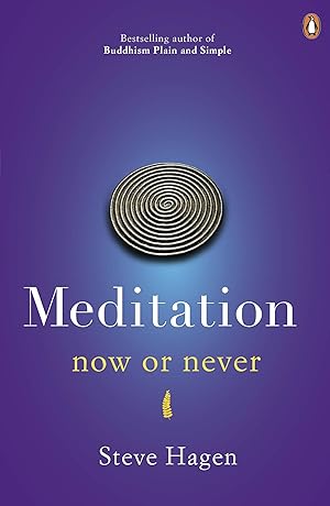 Seller image for Meditation Now or Never for sale by moluna
