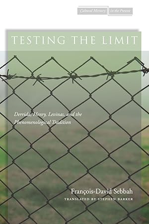 Seller image for Testing the Limit: Derrida, Henry, Levinas, and the Phenomenological Tradition for sale by moluna