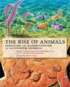 Seller image for The Rise of Animals for sale by moluna