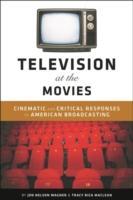 Seller image for TELEVISION AT THE MOVIES for sale by moluna