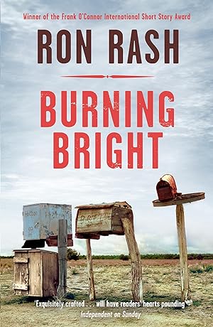 Seller image for Burning Bright for sale by moluna