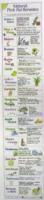 Bild des Verkufers fr Cook, L: Natural First Aid Remedies Chart zum Verkauf von moluna