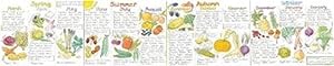 Bild des Verkufers fr Seasonal Fruit and Vegetables Wallchart zum Verkauf von moluna