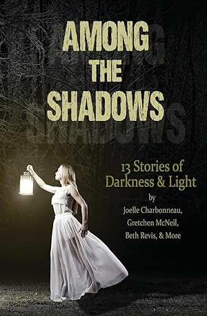 Bild des Verkufers fr Among the Shadows: 13 Stories of Darkness & Light zum Verkauf von moluna