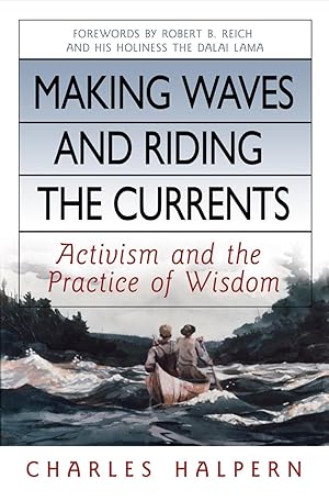 Seller image for Making Waves and Riding the Currents: Activism and the Practice of Wisdom for sale by moluna