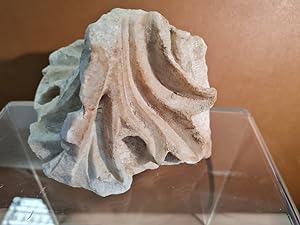 Marmor-Bruchstück eines antiken Säulen-Kapitells aus Marmor.