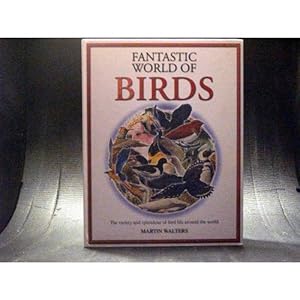 The Fantastic World Of Birds