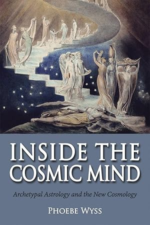 Bild des Verkufers fr Inside the Cosmic Mind zum Verkauf von moluna