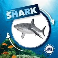 Seller image for Life Cycle of a Shark for sale by moluna