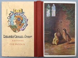 Seller image for Ms lecciones de Cosas for sale by Els llibres de la Vallrovira
