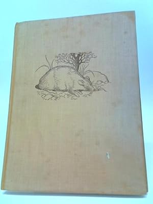 Seller image for Introducing Baby Animals for sale by World of Rare Books