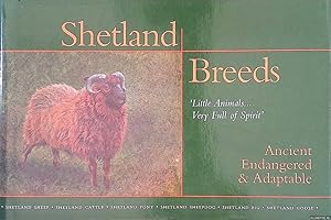 Immagine del venditore per Shetland Breeds: 'Little Animals.Very Full of Spirit'. Ancient, Endangered & Adaptable venduto da Klondyke