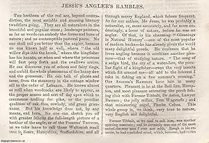 Seller image for Jesse's Angler's Rambles. An original article from Tait's Edinburgh Magazine, 1836. for sale by Cosmo Books