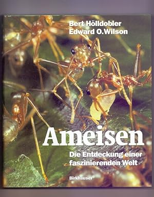 Ameisen : die Entdeckung einer faszinierenden Welt. Bert Hölldobler ; Edward O. Wilson. Aus dem A...