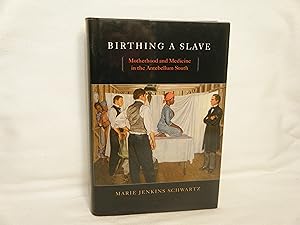 Seller image for Birthing a Slave Motherhood and Medicine in the Antebellum South for sale by curtis paul books, inc.