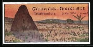 Sammelbild Gartmann`s Chocolade, Baukünstler der Tierwelt, Termitenhügel