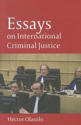 Bild des Verkufers fr Essays on International Criminal Justice zum Verkauf von moluna