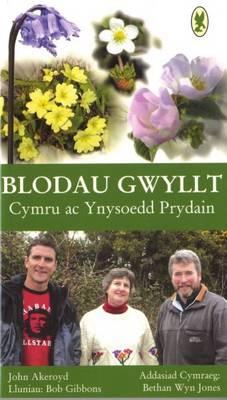 Seller image for Blodau Gwyllt Cymru ac Ynysoedd Prydain for sale by moluna