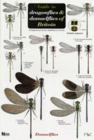 Seller image for Guide to the Dragonflies and Damselflies of Britain for sale by moluna