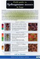 Seller image for Field Guide to Sphagnum Mosses in Bogs for sale by moluna