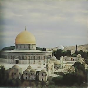 Immagine del venditore per Yahweh s Land. venduto da Librera y Editorial Renacimiento, S.A.