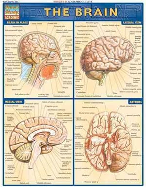 Seller image for Brain for sale by GreatBookPrices