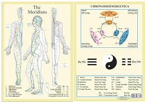 Image du vendeur pour Meridians -- A4 mis en vente par moluna