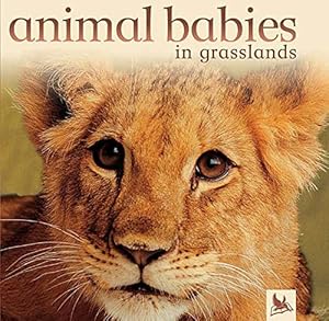 Seller image for Animal Babies in Grasslands for sale by Reliant Bookstore