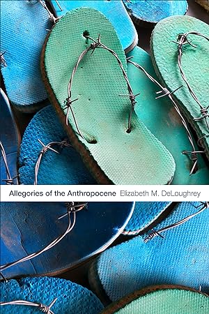 Bild des Verkufers fr Allegories of the Anthropocene zum Verkauf von moluna