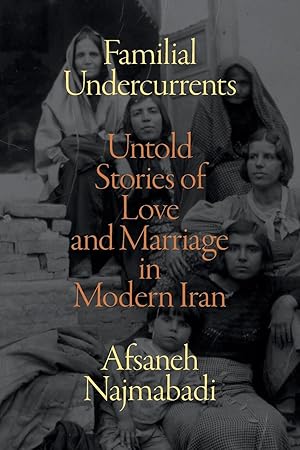 Bild des Verkufers fr Familial Undercurrents: Untold Stories of Love and Marriage in Modern Iran zum Verkauf von moluna