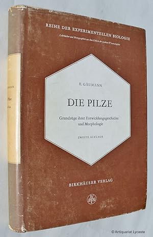 Bild des Verkufers fr Die Pilze - Grundzge ihrer Entwicklungsgeschichte und Morphologie. zum Verkauf von Antiquariat Lycaste