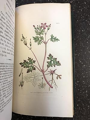 Bild des Verkufers fr ENGLISH BOTANY; OR, COLOURED FIGURES OF BRITISH PLANTS, WITH THEIR ESSENTIAL CHARACTERS, SYNONYMS AND PLACES OF GROWTH [VOL. 21 ONLY] zum Verkauf von Second Story Books, ABAA