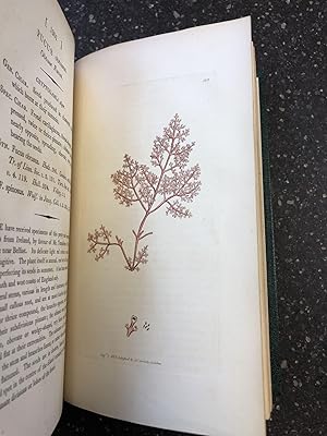 Bild des Verkufers fr ENGLISH BOTANY; OR, COLOURED FIGURES OF BRITISH PLANTS, WITH THEIR ESSENTIAL CHARACTERS, SYNONYMS AND PLACES OF GROWTH [VOL. 17 ONLY] zum Verkauf von Second Story Books, ABAA