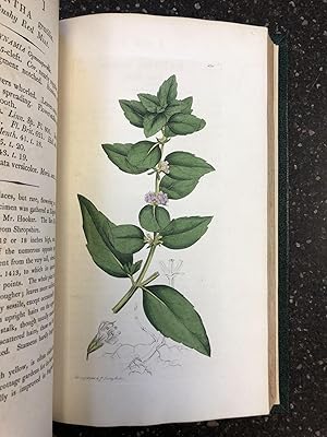 Bild des Verkufers fr ENGLISH BOTANY; OR, COLOURED FIGURES OF BRITISH PLANTS, WITH THEIR ESSENTIAL CHARACTERS, SYNONYMS AND PLACES OF GROWTH [VOL. 30 ONLY] zum Verkauf von Second Story Books, ABAA